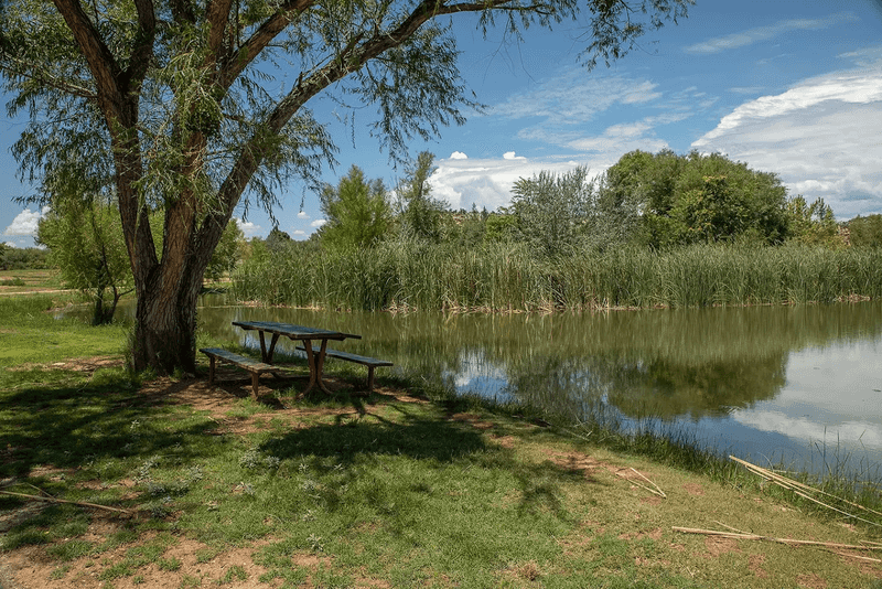 Dead Horse Ranch State Park Vintage Picnic Spot