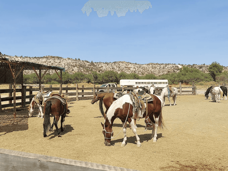 Dead Horse Ranch State Park