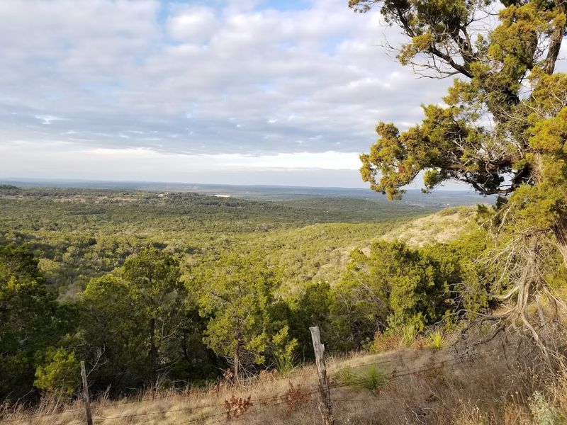 Devil's Backbone - Canyon Lake, Texas