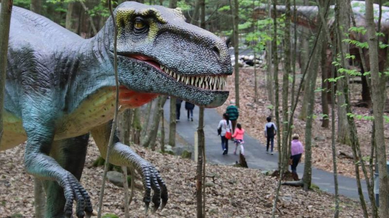 Dino Roar Valley: A Prehistoric Adventure Through the Forest