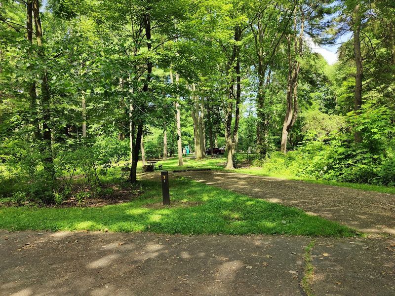 Disc Golf Course That Gets Surprisingly Competitive Disc Golf Course That Gets Surprisingly Competitive