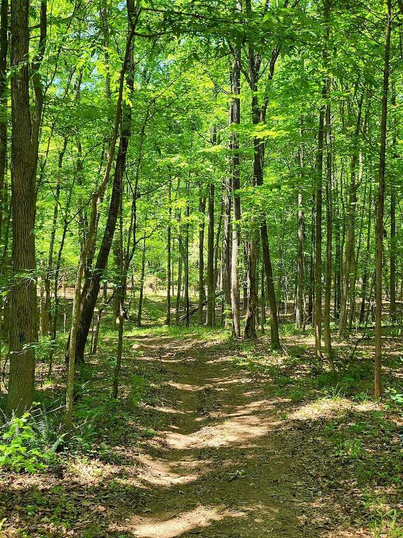 Disc Golf and Outdoor Recreation