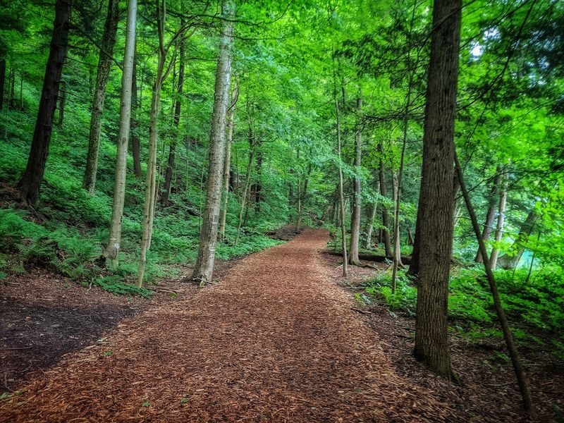 Disc Golf for a Fun Twist on Outdoor Play