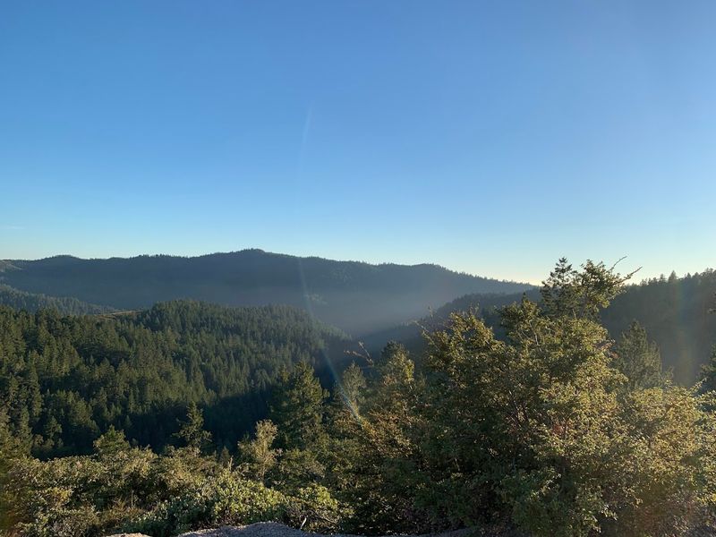 Diverse Ecosystems Along the Ridge Loop