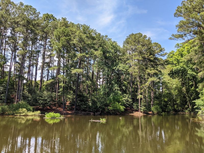 Diverse Ecosystems That Showcase Upstate South Carolina's Natural Heritage