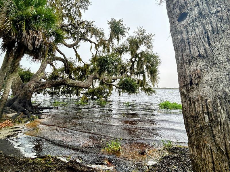 Diverse Ecosystems Within One Park