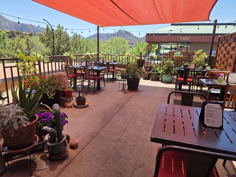 Dog-Friendly Dining Done Right