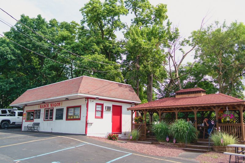 Dog-Friendly Dining Stop