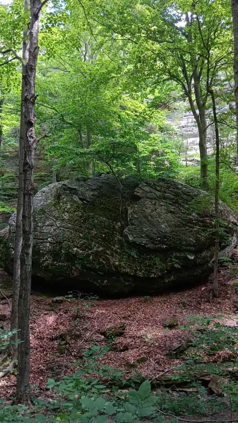 Dog-Friendly Hiking at Its Best