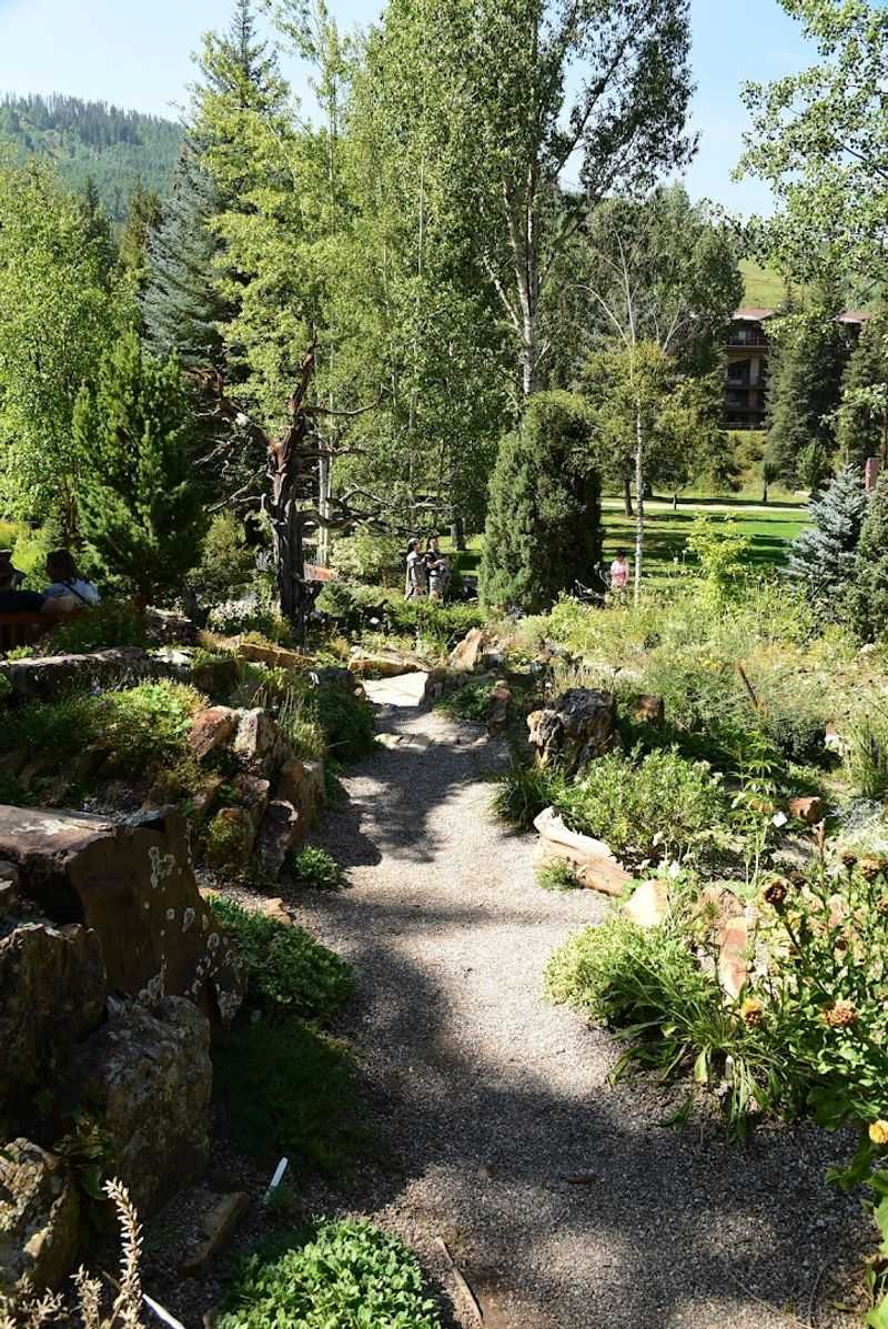 Dog-Friendly Paths Perfect for Leashed Pets