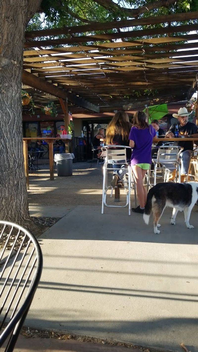 Dog-Friendly Patio Perfect for Sunny Colorado Days