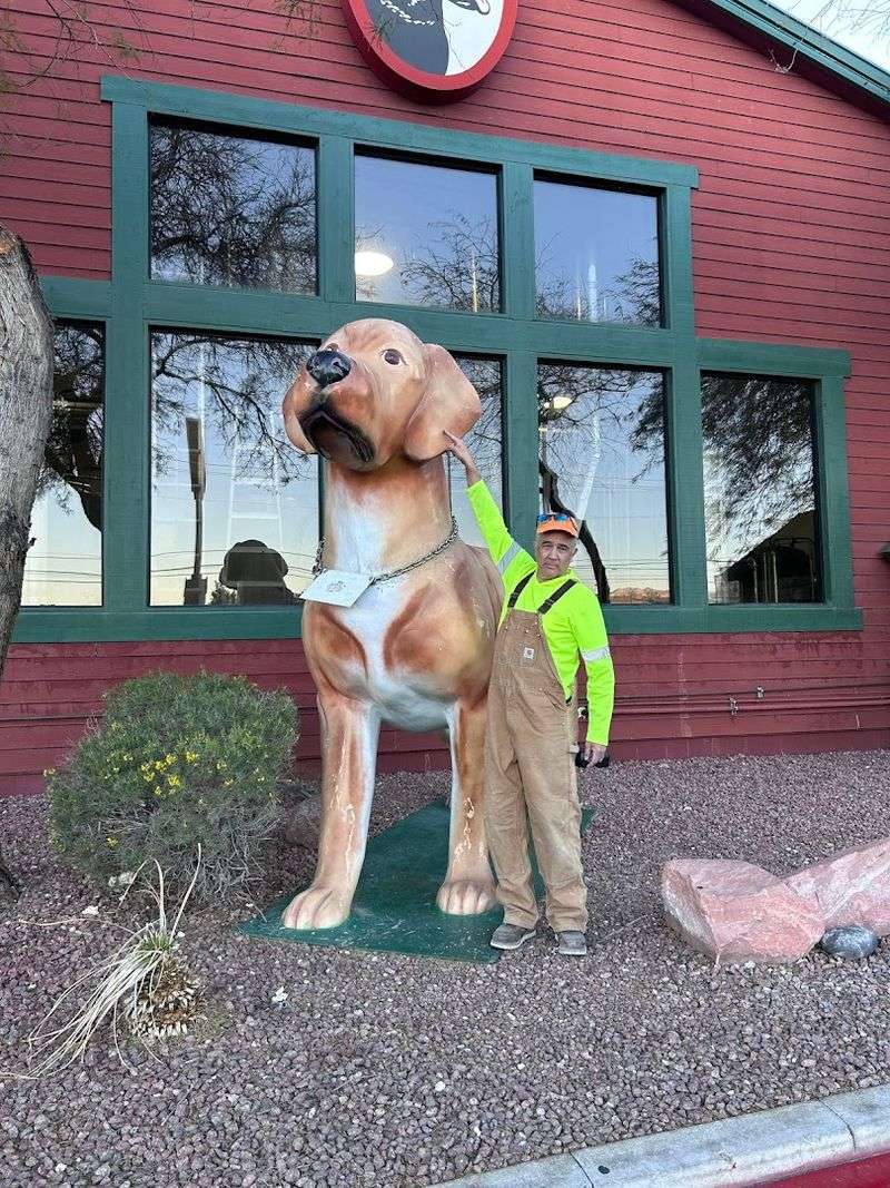 Dog-Friendly Patio That Actually Treats Pets Like Royalty