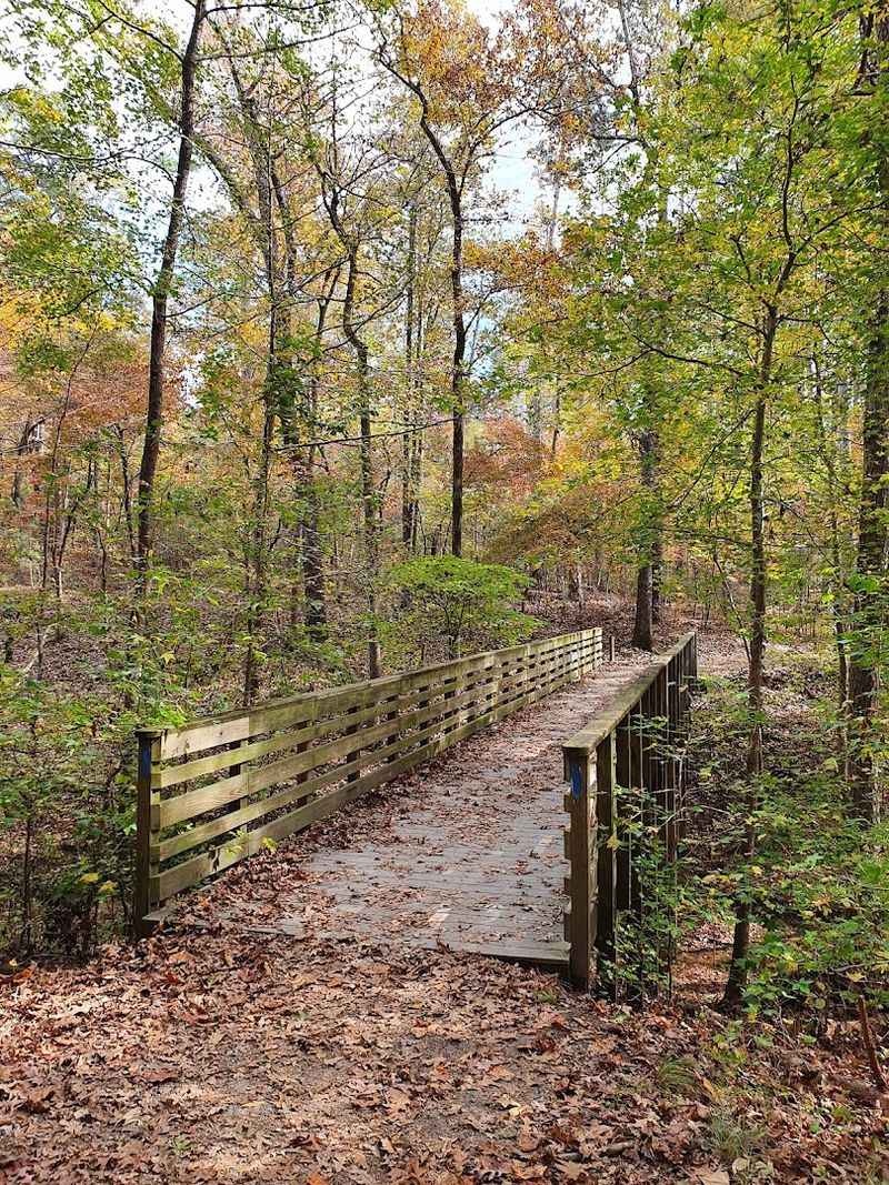 Dog-Friendly Trails Perfect for Your Four-Legged Best Friend