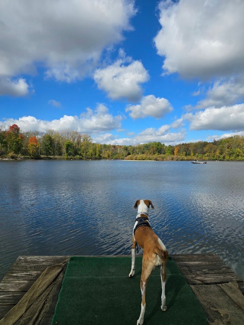Dog-Friendly Trails That Make Tails Wag Hard Dog-Friendly Trails That Make Tails Wag Hard