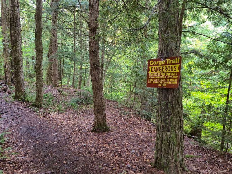 Dog-Friendly Trails That Tail-Waggers Approve Of