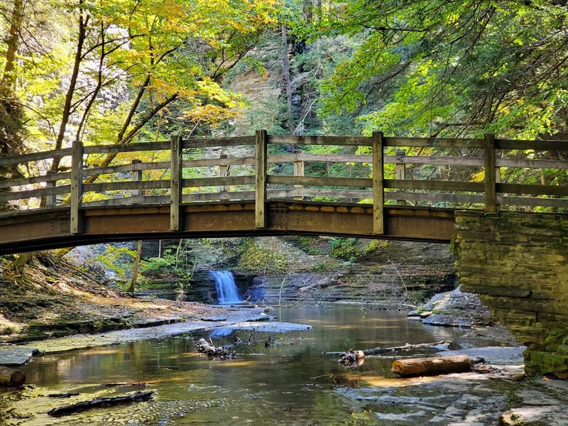 Dog-Friendly Trails That Welcome Four-Legged Adventurers Dog-Friendly Trails That Welcome Four-Legged Adventurers