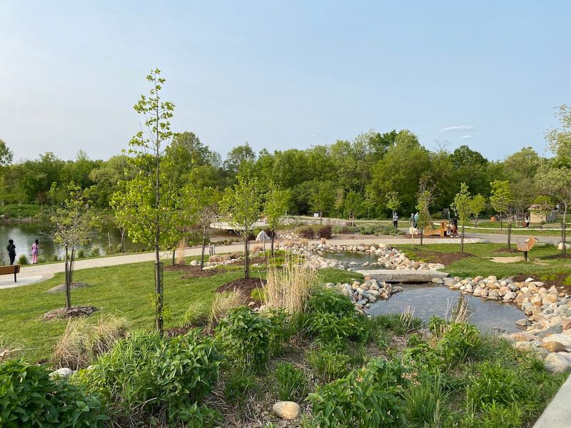 Dog-Friendly Trails That Welcome the Whole Family, Furry Members Included Dog-Friendly Trails That Welcome the Whole Family, Furry Members Included