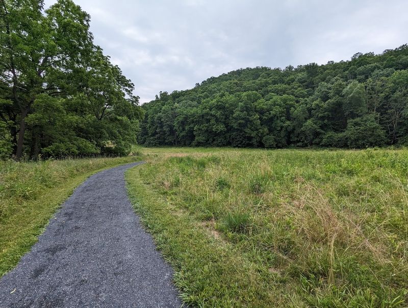 Dog-Friendly Trails and Open Spaces Dog-Friendly Trails and Open Spaces