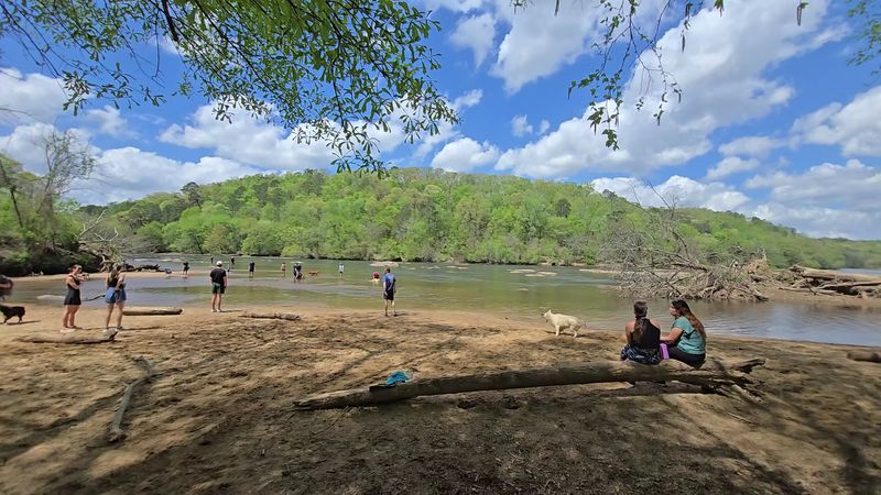 Dog-Friendly Trails for Four-Legged Explorers Dog-Friendly Trails for Four-Legged Explorers