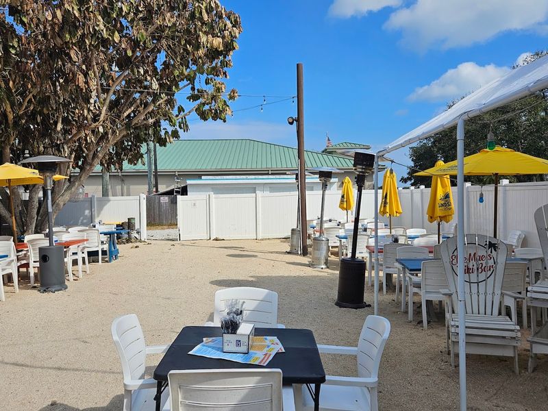 Dog-Friendly Vibes at the Outdoor Tiki Area Dog-Friendly Vibes at the Outdoor Tiki Area