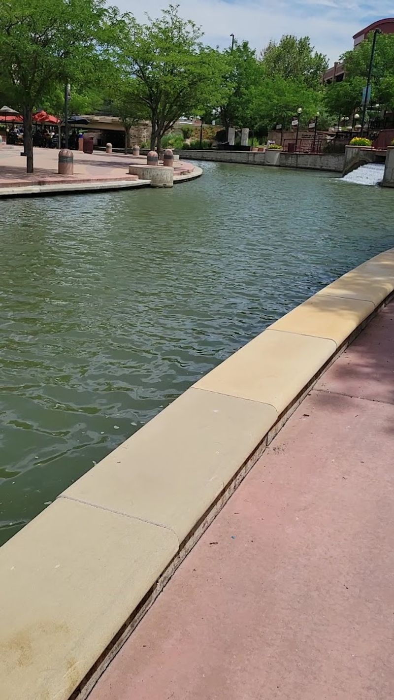 Dog-Friendly Walking Paths