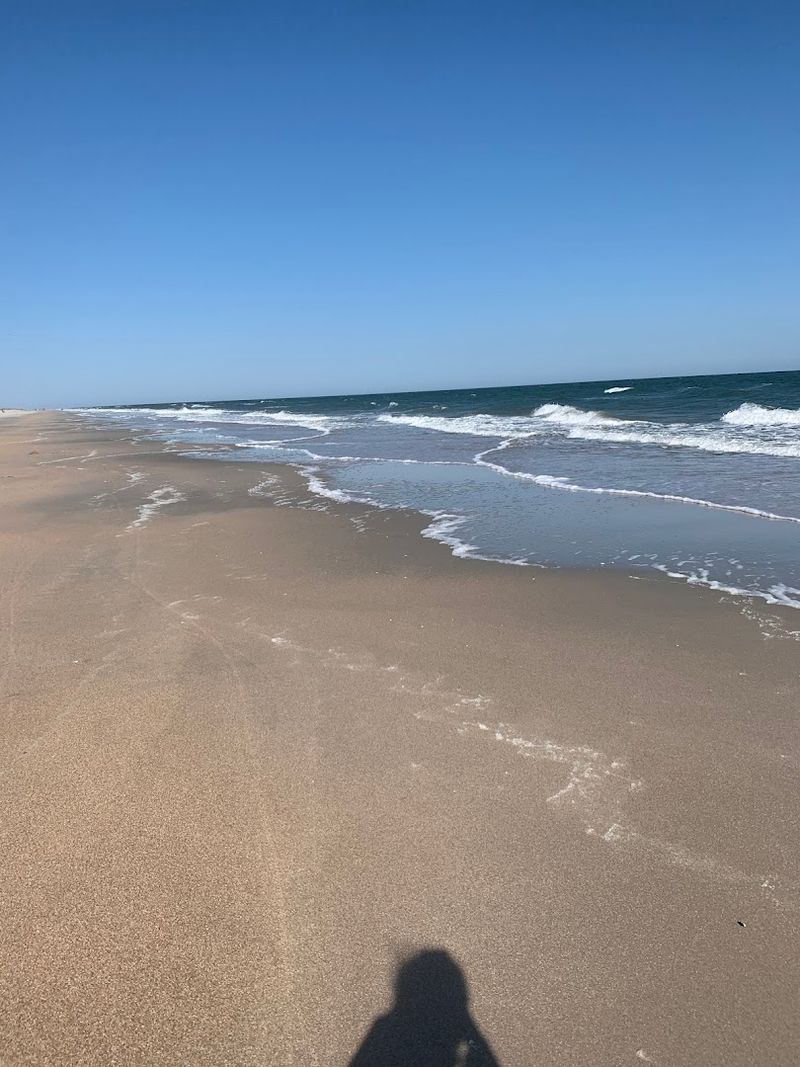 Dolphins, Sunsets, and Sunrise Walks on a Crowd-Free Beach