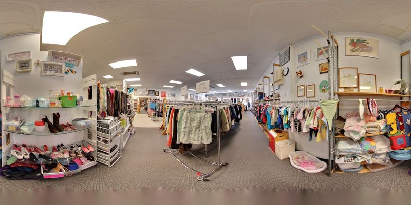 Donating to Furkids Thrift Store: How You Can Help