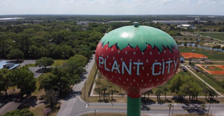 Don’t miss this massive strawberry water tower, one of Florida’s quirkiest hidden attractions
