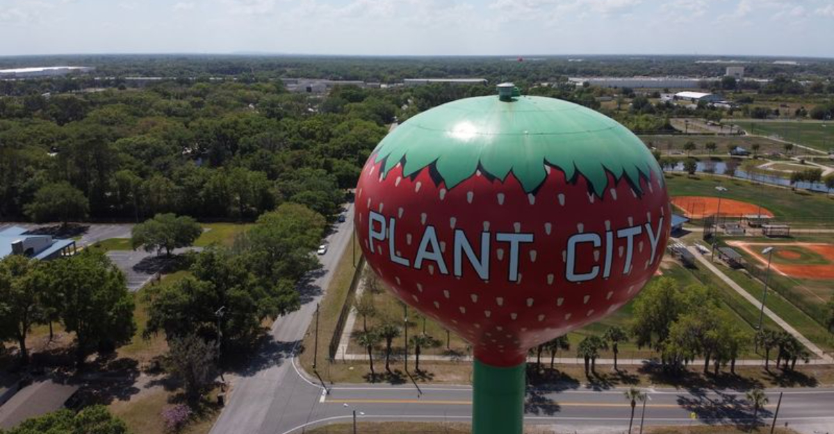 Dont miss this massive strawberry water tower one of Floridas quirkiest hidden attractions