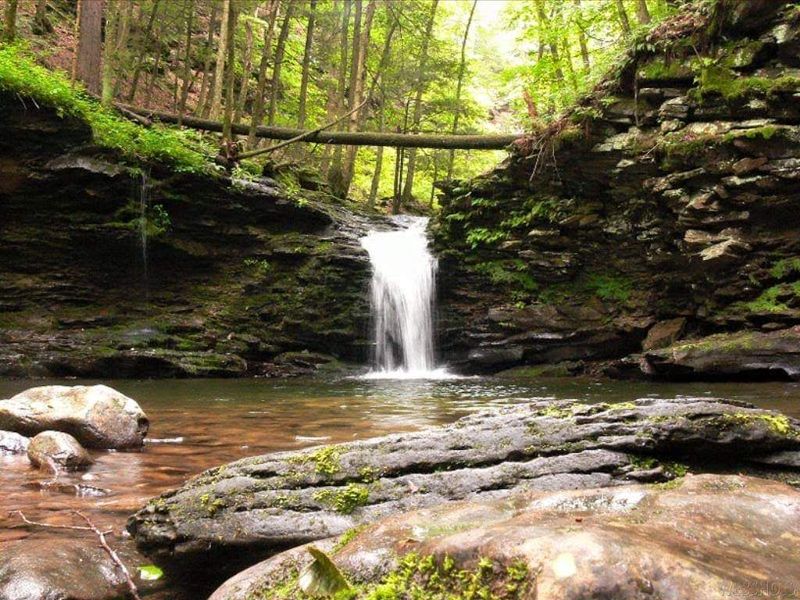 Double Run Nature Trail and Its Cascading Waterfalls