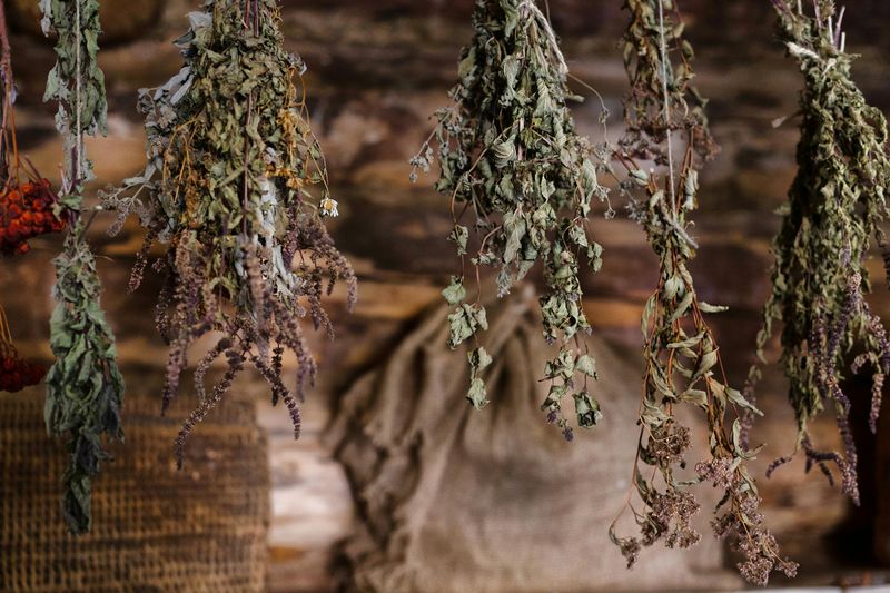 Dried Herbs Dried Herbs