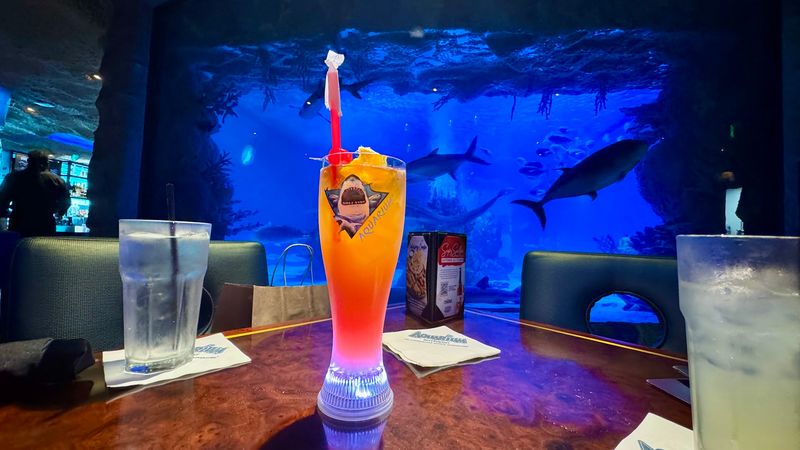 Drinks and a Bar Scene Worth Toasting To