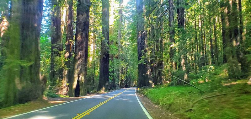 Driving the Full 31-Mile Scenic Route Driving the Full 31-Mile Scenic Route