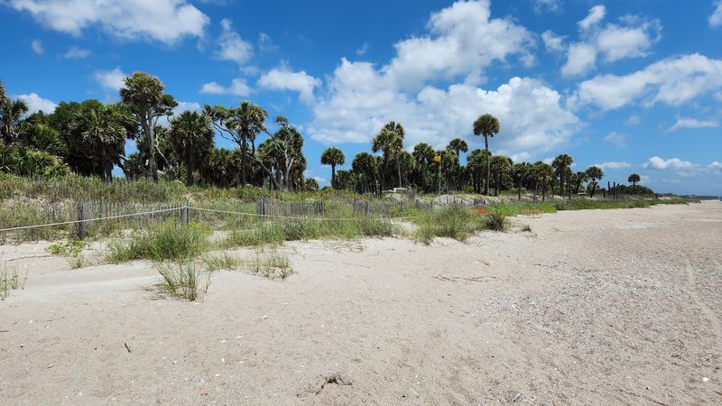 Edisto Beach State Park - Edisto Island, South Carolina