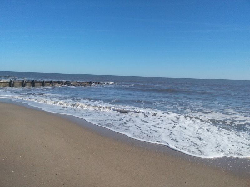 Edisto Beach State Park - Edisto Island, South Carolina