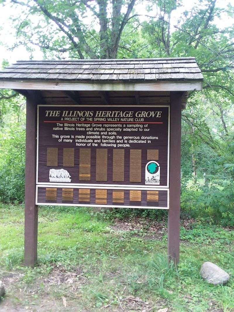 Educational Signs That Make Learning Feel Like Play