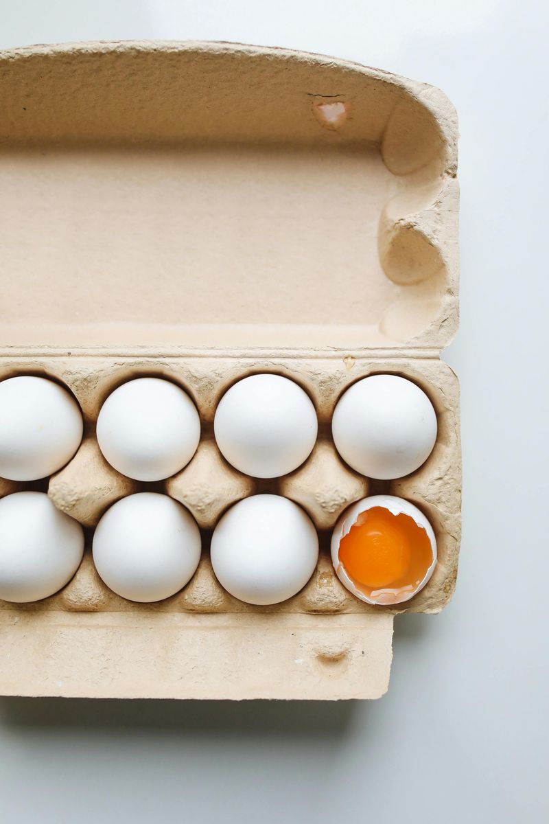Egg Carton Egg Carton