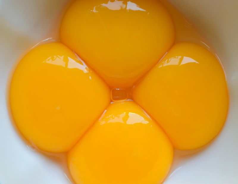 Egg Yolks