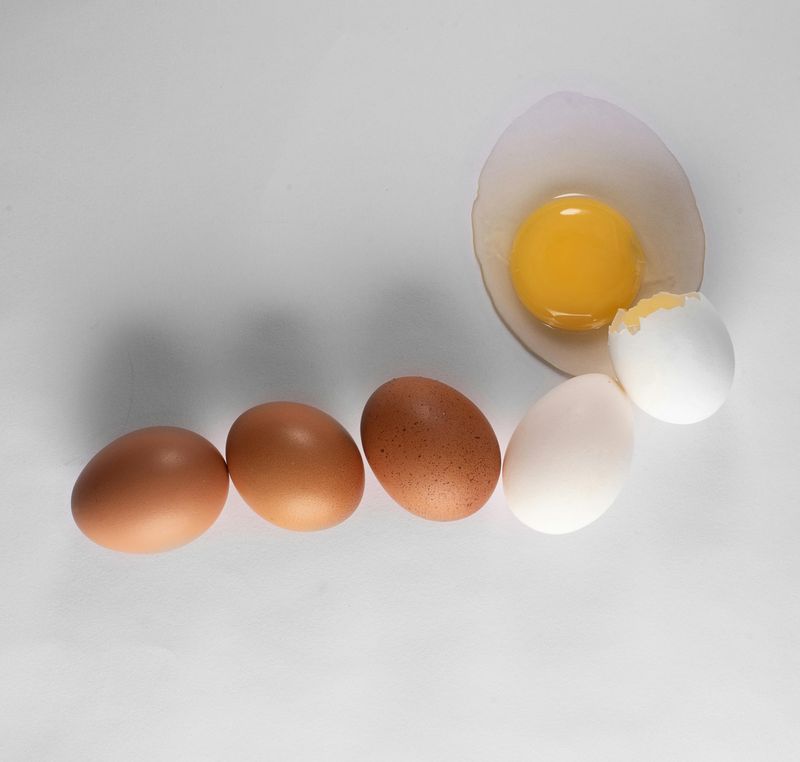 Eggs