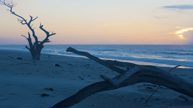 Eight Miles of Pristine, Uncrowded Beach