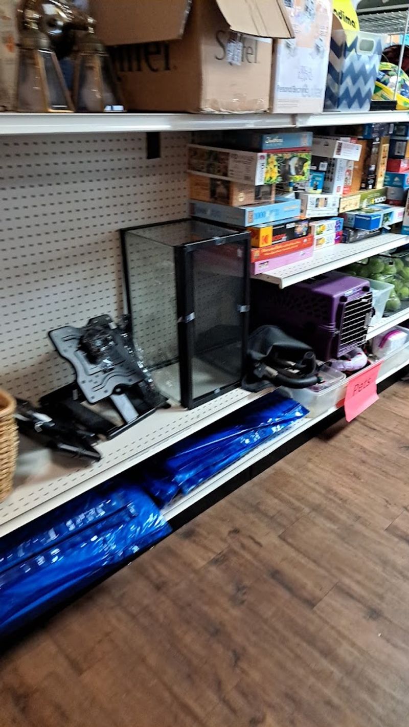 Electronics at Surprisingly Low Prices