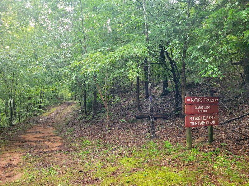 Equestrian Camping for Riders and Their Horses