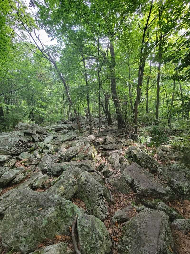 Essential Gear Checklist for a Safe and Enjoyable Hike Essential Gear Checklist for a Safe and Enjoyable Hike
