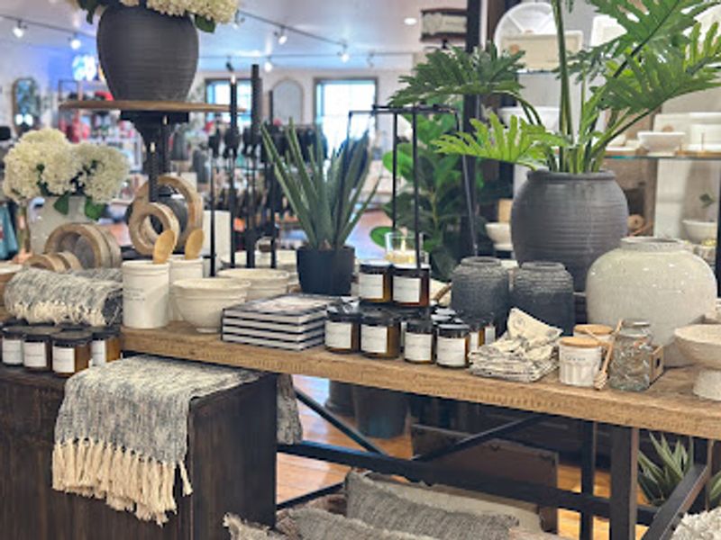 Essential Oils and Wellness Finds
