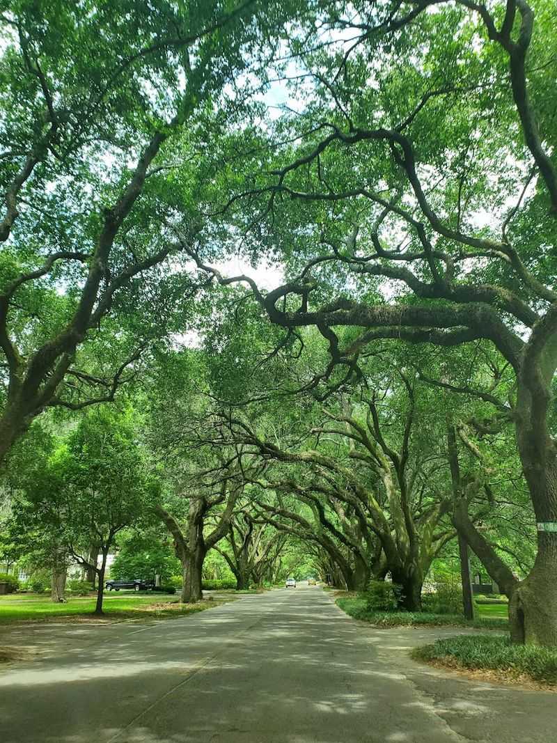 Estate Sales in Aiken's Grand Neighborhoods