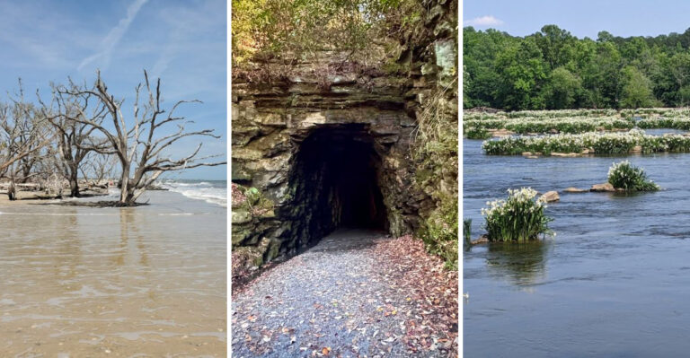Even lifelong South Carolina residents often miss these 13 enchanting hidden places