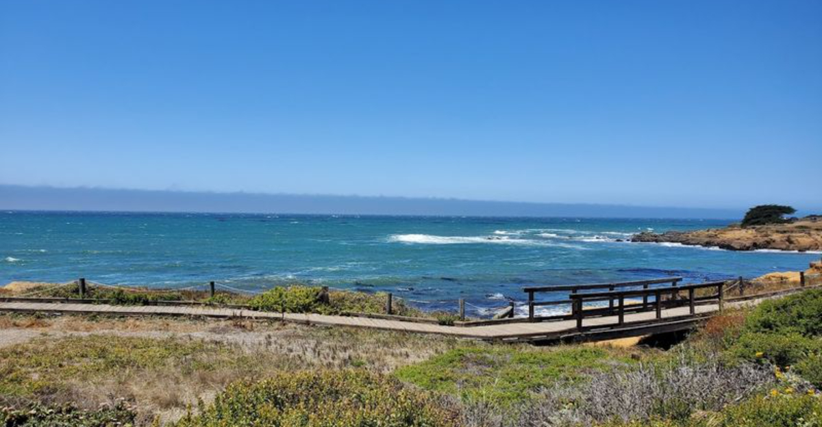 Everyone in California should experience this stunning boardwalk at least once