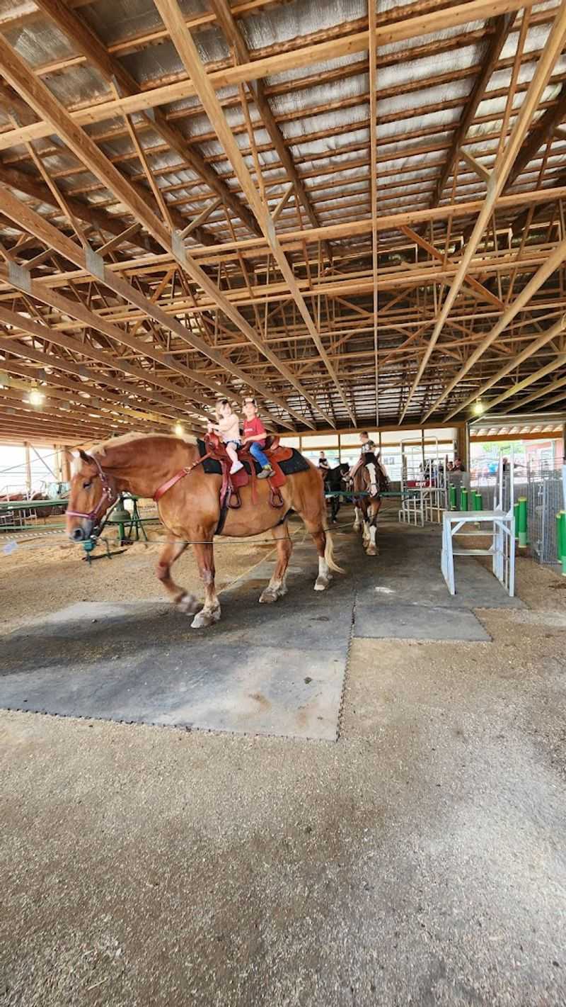 Exotic Animals That Go Beyond the Usual Barn Crew
