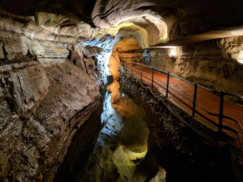 Expert Tour Guides Who Bring the Cave to Life