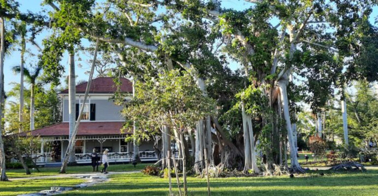 Explore a hidden 20-acre Florida garden filled with mysterious sculptures and secret corners